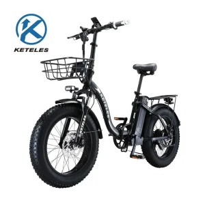 Electric Bike