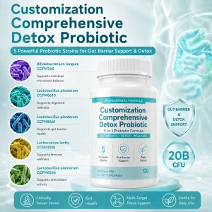 OEM ODM Gut Barrier Detox Probiotic Premix Powder