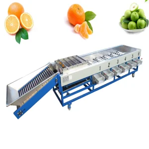 Potato Tomato Orange Fruit Apple Lemon Washing Drying Sorting Grading Machine