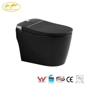 Watermark White Standing Mounted Auto Flush One Piece Smart Toilet