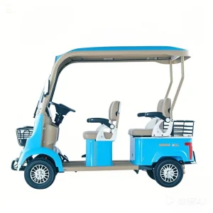Eco-Friendly Electric Golf Cart
