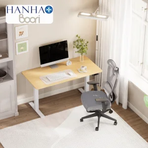 Electric Sit Stand Desk