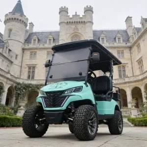 Lithium Battery Electric Golf Cart