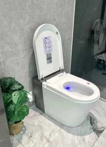 North American and European Design Styles Large Bowl Panel Switch and Floor Standing Smart Toilets