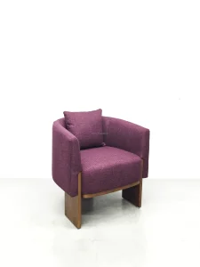 Modern Living Room Lounge Chairs