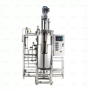 Bioreactor Fermenter
