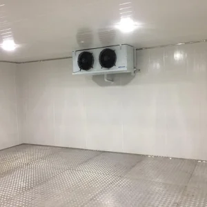 20ft Cold Room Container 220V Voltage Easy To Operate Compressor 150mm 120mm Panel Thickness Cold Storage Room