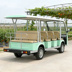 WOLAN Manufacturer 11 Seater Electric Golf Cart with Foldable Seat for Golf Course Community