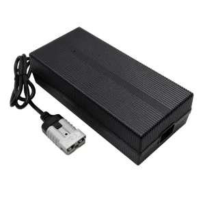 12V 20A LiFePO4 Battery Charger