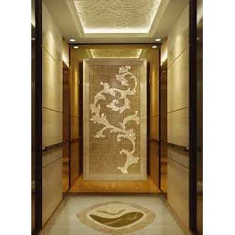 Vvvf Function Champagne Gold Mirror Passenger Elevator with Small Machine Room