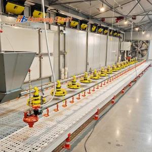 Fully Automatic Poultry Feeding System