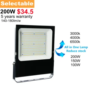 Adjustable Flood Light