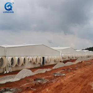 Steel Modular Poultry Farm Buildings
