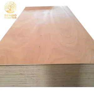 Wholesale 12mm 15mm 18mm Eucalyptus Core Birch Plywood Commercial for Furniture