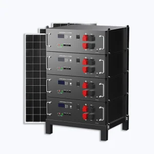 Custom logo lithium battery rack mount