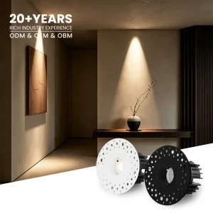1-Inch Micro Pinhole 9W COB Anti-Glare LED Downlight Trimless Recessed Small Hole Ceiling Light For High-end Cabinet Hotel