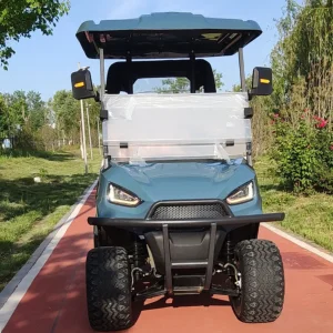 Intelligent Electric Golf Cart Customizable 2 Seat Smart Golf Buggy with Strong Lithium Power Supports Club Car Features