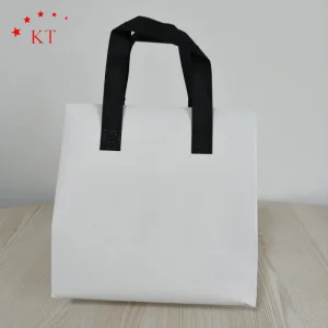 Bolsa térmica desechable con logo