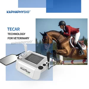 CE Approved Horse Treatment China Improved Equine Flexibility Tecar Therapy Machine