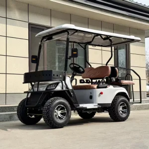 Customizable Leather Cart