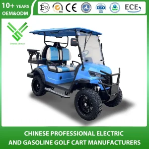 Sightseeing Golf Cart