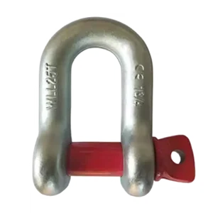 Lifting Shackles