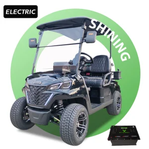 2 Seater Golf Cart