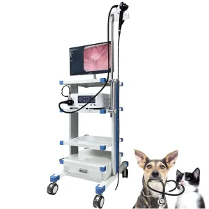 Vet Equipment Portable Endoscopy Equipment Vet Gastroscope for Vet Endoscope Camera Veterinaria