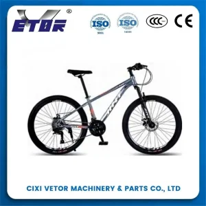 Wholesale 29-inch aluminum alloy mountain bike