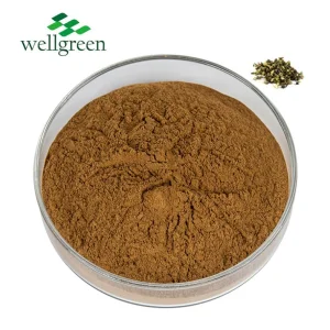 Pó de Extrato de Tribulus Terrestris Extrato de Erva de Tribulus