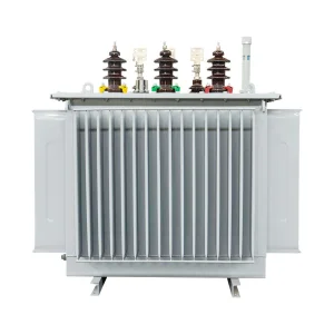 TAIKAI S20 Transformer