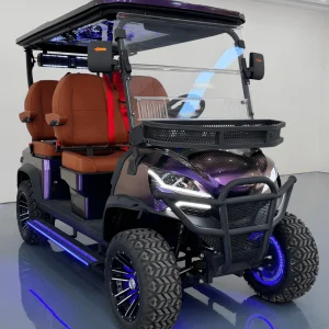 Luxury 4 Seater