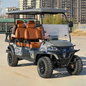 New Design 3-4 Seater Electric Golf Cart