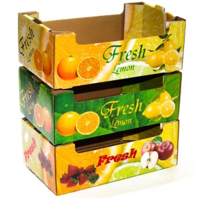 RDY Waxed Moisture Proof Customize Folding Cucumber Fruit Vegetable Box