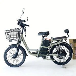 Cargo 500W Motor 48V12ah Lithium Battery Food Delivery Powerful Long Range Ebike