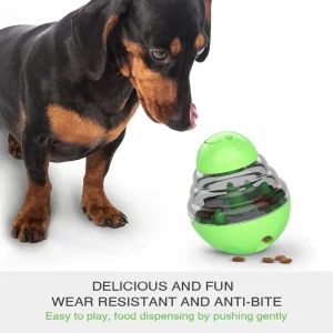 Slow Feeding Pet Cat Educational Toy Leaking Ball Chew Toy Interactive Toy