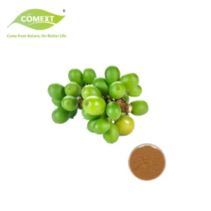 Certificado Kosher Halal Comext Suplementos Nutricionais Perda de Peso Pó Puro Ácido Clorogênico Extrato de Grão de Café Verde