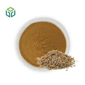 Celery Seed Herbal Extract