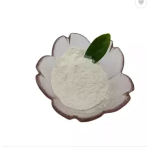 High Standard Whey Protein Isolate Powder for Adults Quick Muscle Repair and Growth