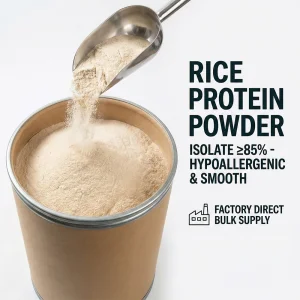 High Purity Natural Rice Protein Extract Powder