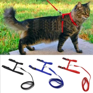 Cat Collar Harness Leash Adjustable Nylon Pet Traction Cat Kitten Dog Halter Collar Gato Cats Products Pet Harness Belt