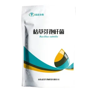 Bacillus Subtilis Probiotics Powder