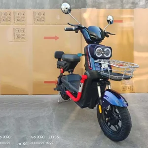 Global Leading Two-wheeled Electric Bike Model: Demon King