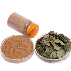 Nutrition Supplement 20% Horny Goat Extract Epimedium Extract