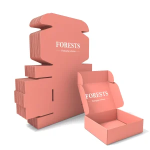 Custom Printed Folding Gift Packaging Box for Retail Subscription and E-commerce Mailing Packaging