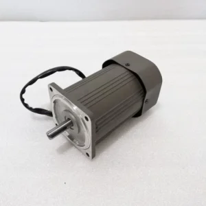 Micro AC Gear Motor 110V-450V