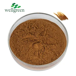 Fornecimento de Fábrica Pó de Extrato de Raiz de Ginseng Vermelho 5%~80% Ginsenosídeos Extrato de Ginseng Panax