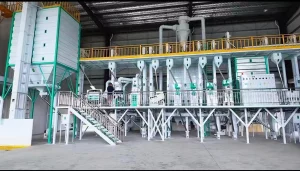 Precio de fábrica 30t/D Línea completa de molienda de arroz Planta de procesamiento de arroz paddy