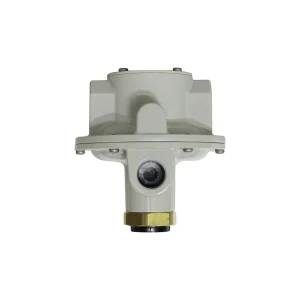 Made in Japan Multi-Function LP Gas Regulator