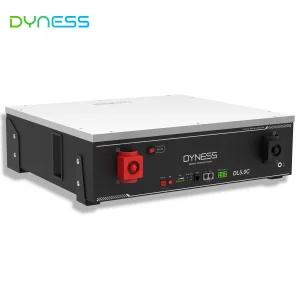 Dyness DL5.0C 10 Year Warranty 19 Inches 51.2V 100Ah 50pcs Parallel 5KWH-250KWH Rack Power Container Home Energy Storage
